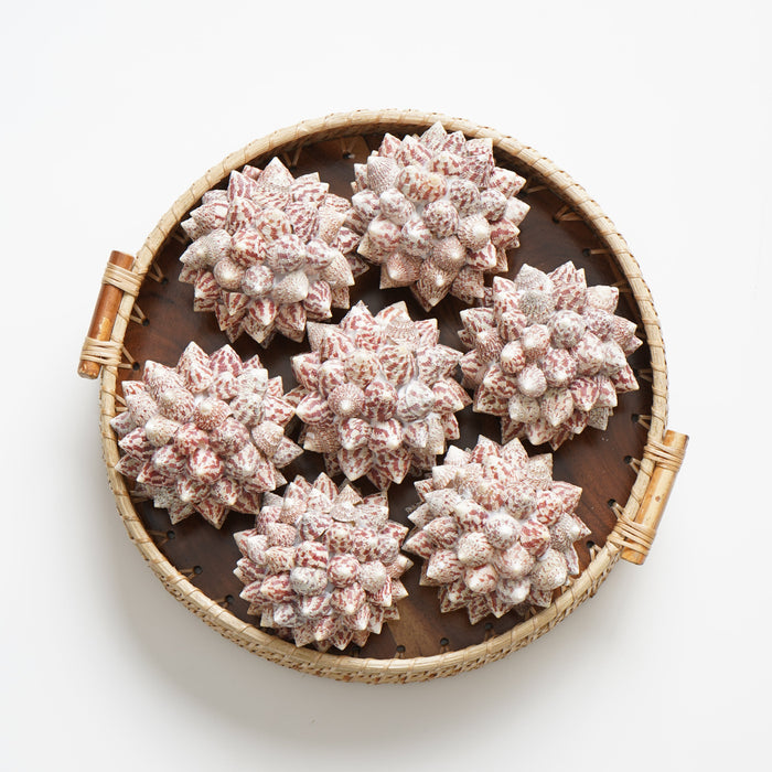 Decorative round basket with pink spherical objects on a white background