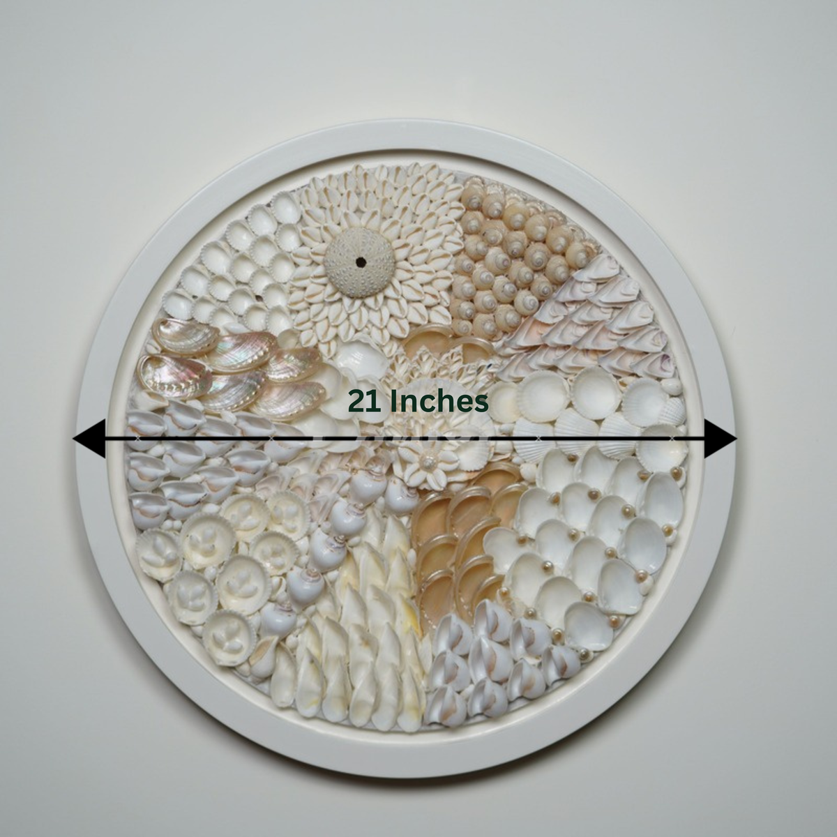 Pearl Bloom Big Shell Wall Art