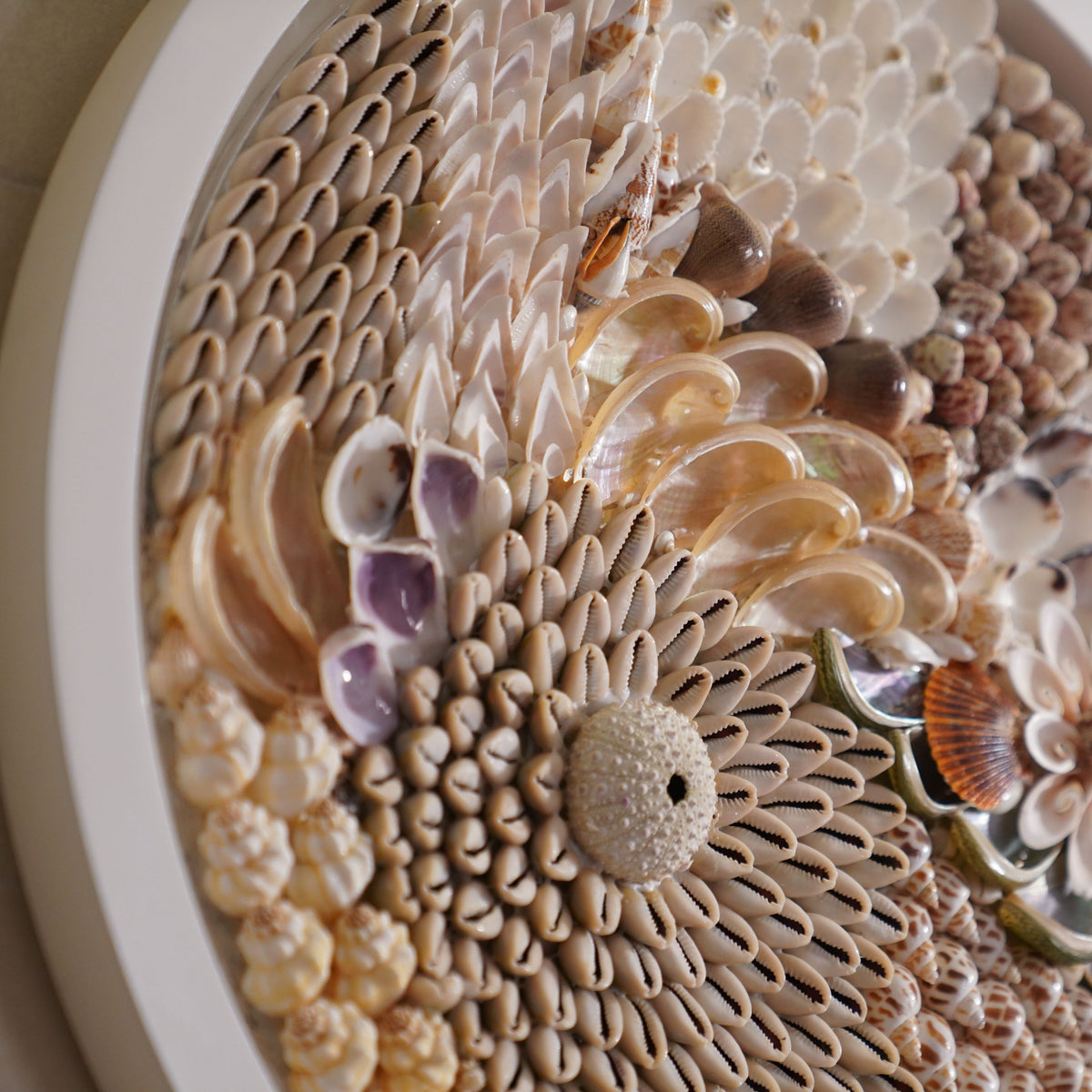 Ocean Mandala Big Shell Wall Art
