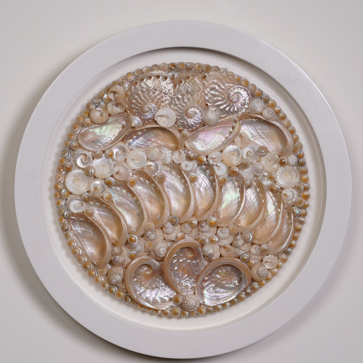 Sun Kissed Shell Wall Art