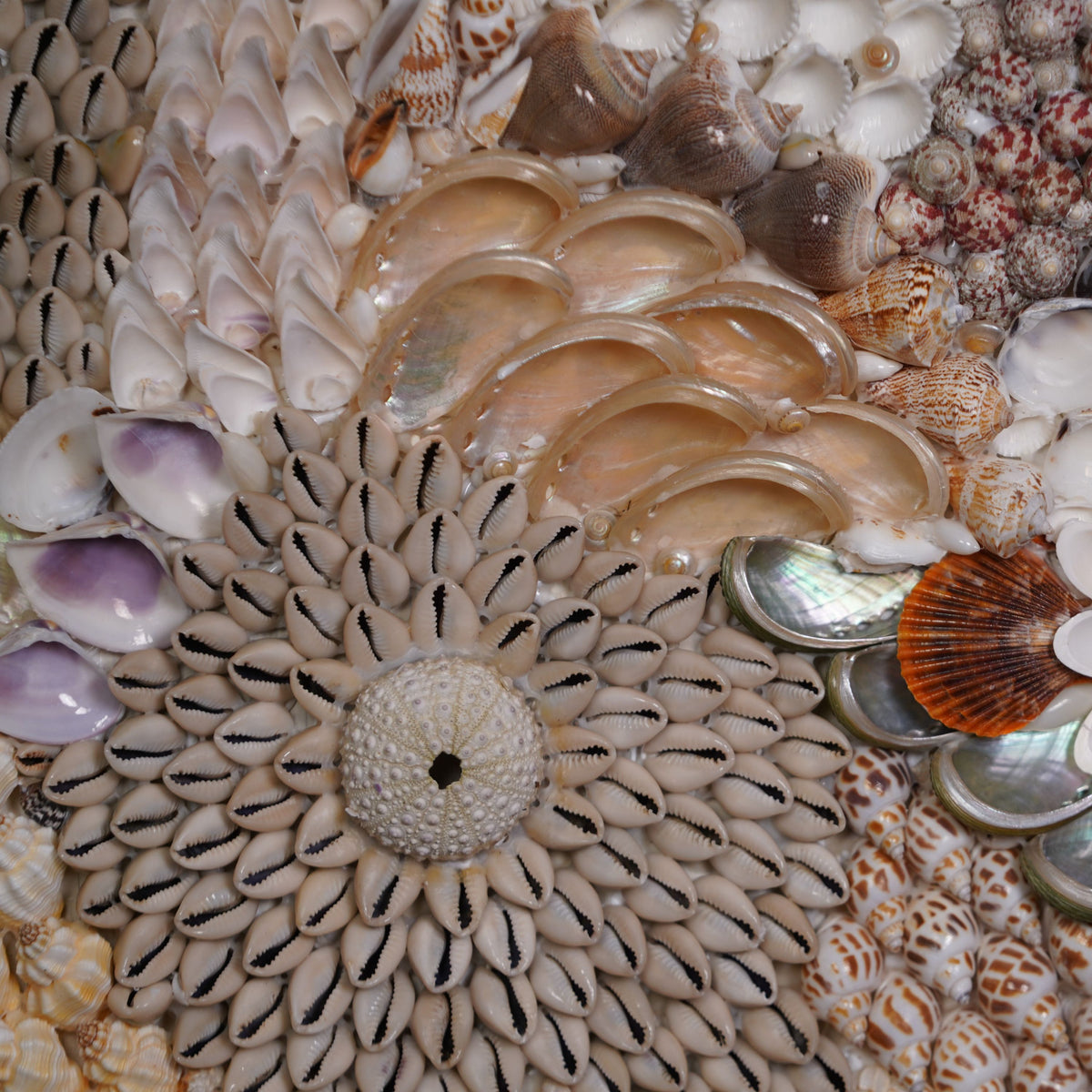 Ocean Mandala Big Shell Wall Art