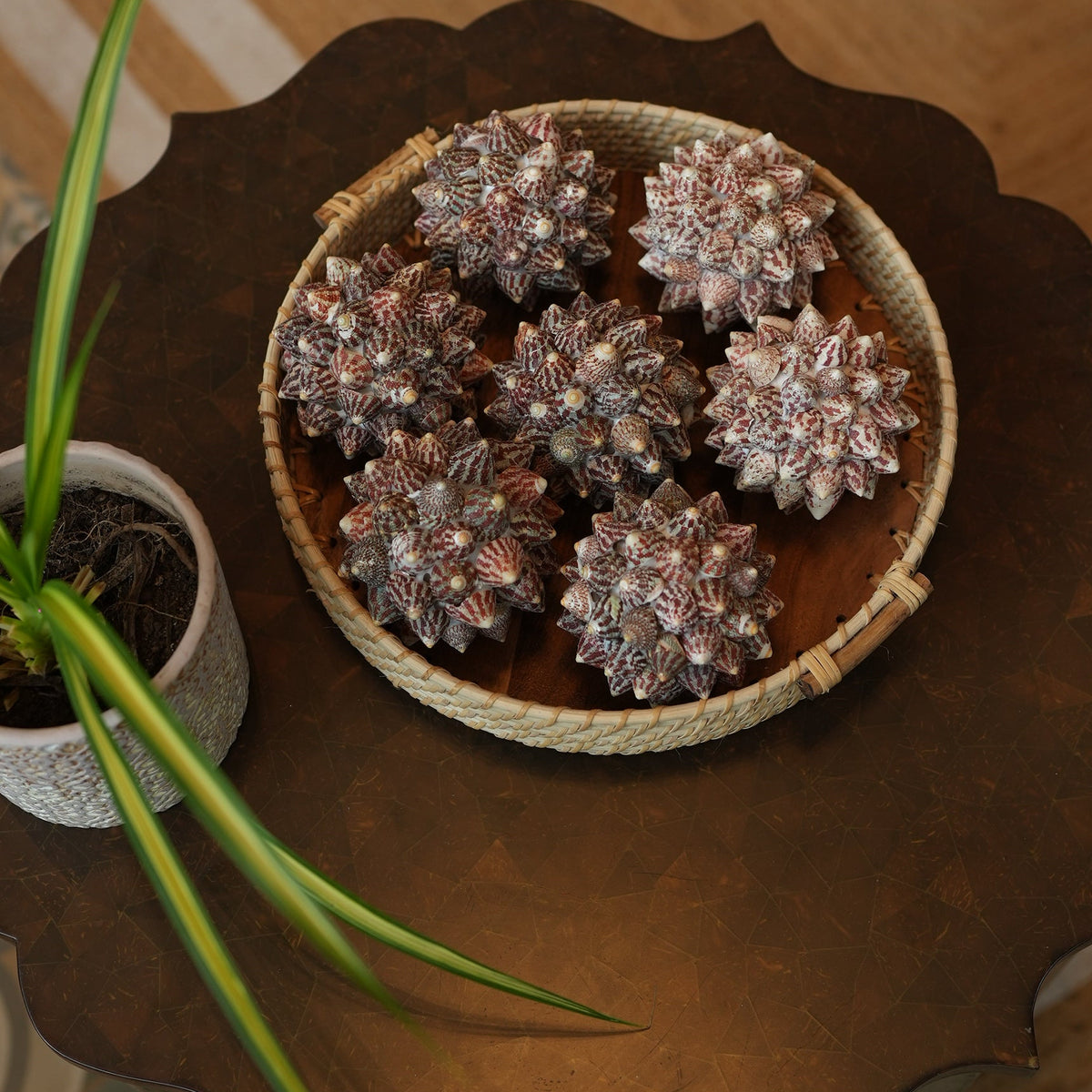 Wild Wood Round Tray