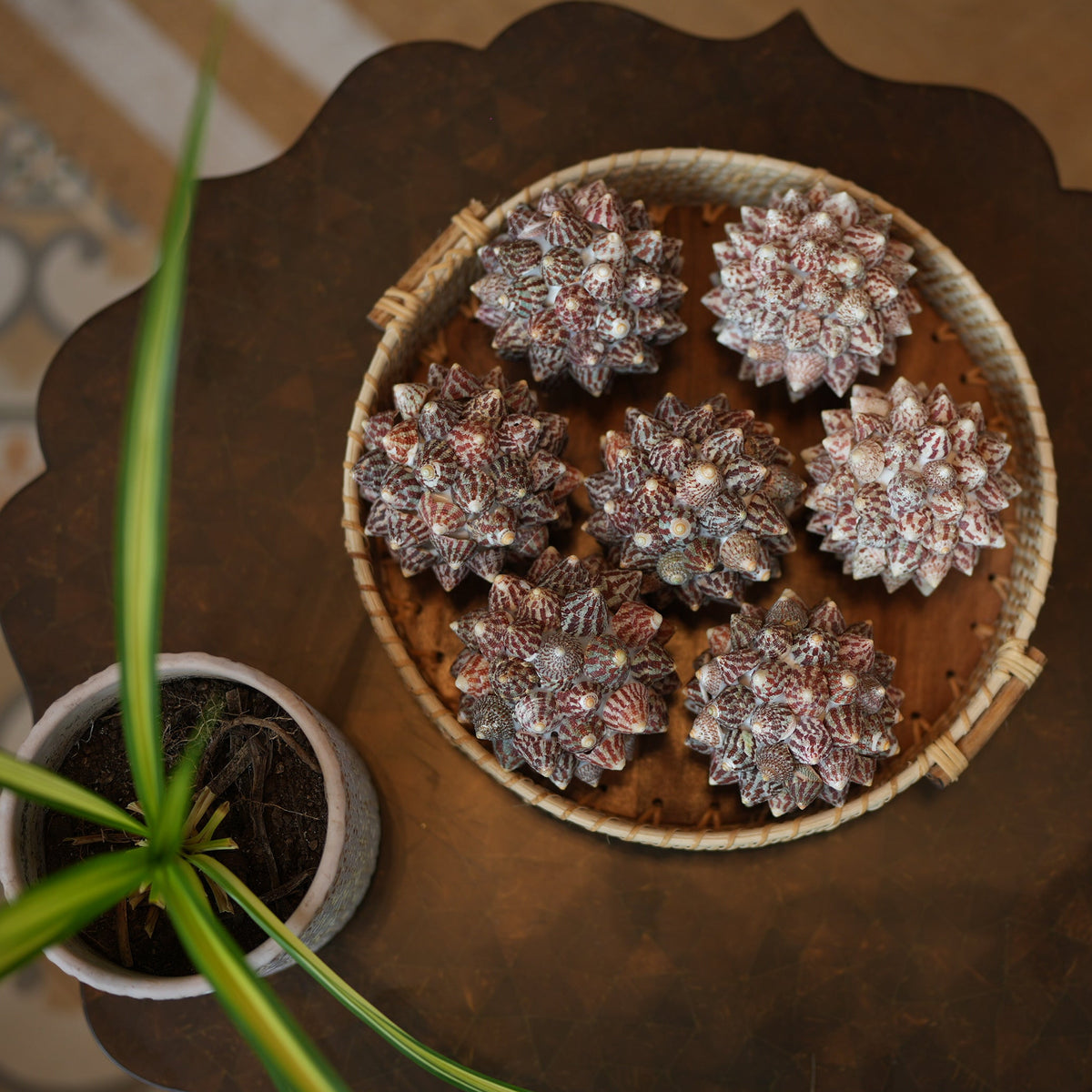 Wild Wood Round Tray