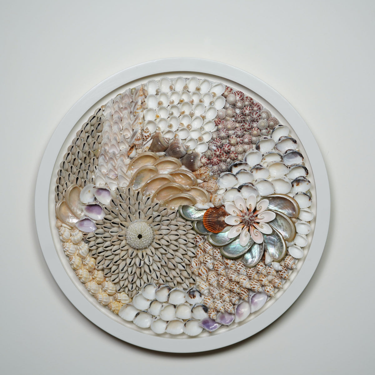 Ocean Mandala Big Shell Wall Art