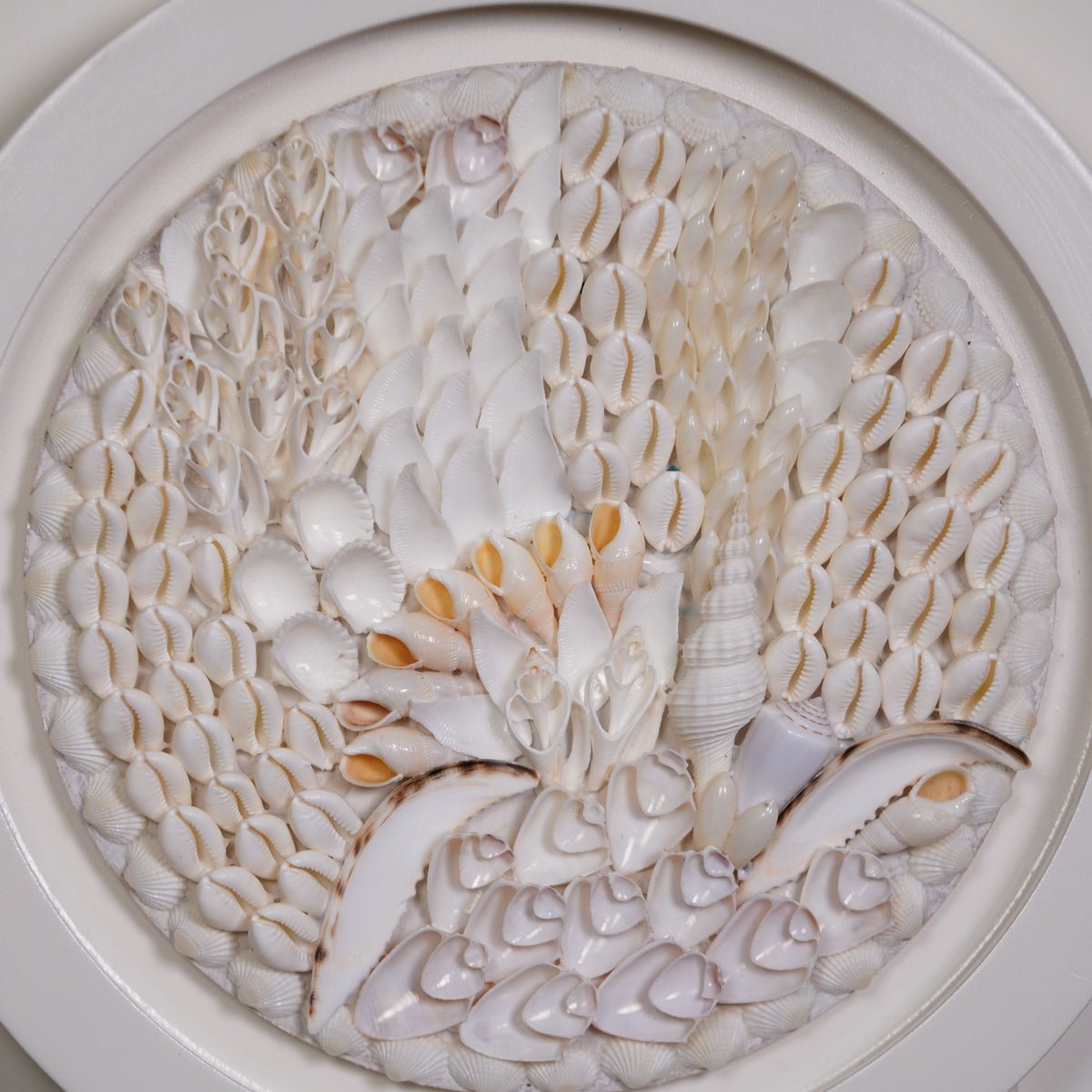 Ocean Whispers Shell Wall Art