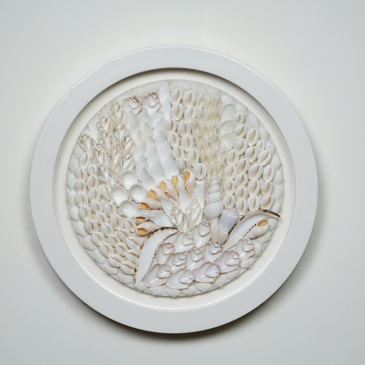 Ocean Whispers Shell Wall Art