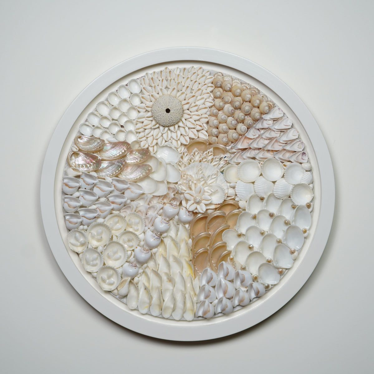 Pearl Bloom Big Shell Wall Art