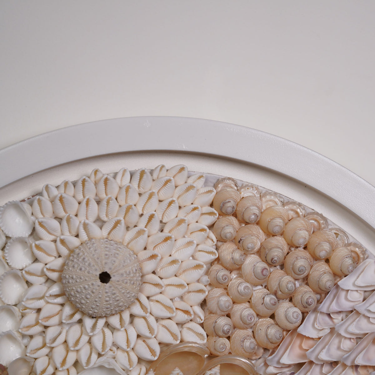 Pearl Bloom Big Shell Wall Art