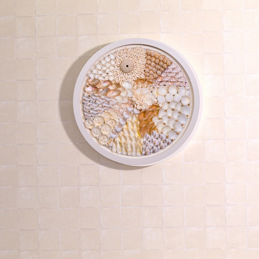 shell wall art