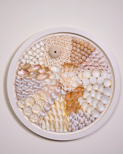 sea shell wall art