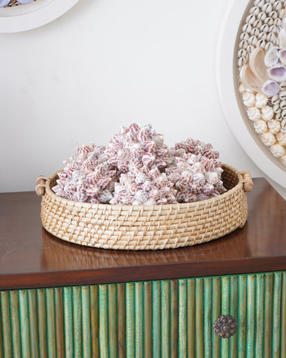 Decorative wall art with seashells and a woven basket on a white wall.