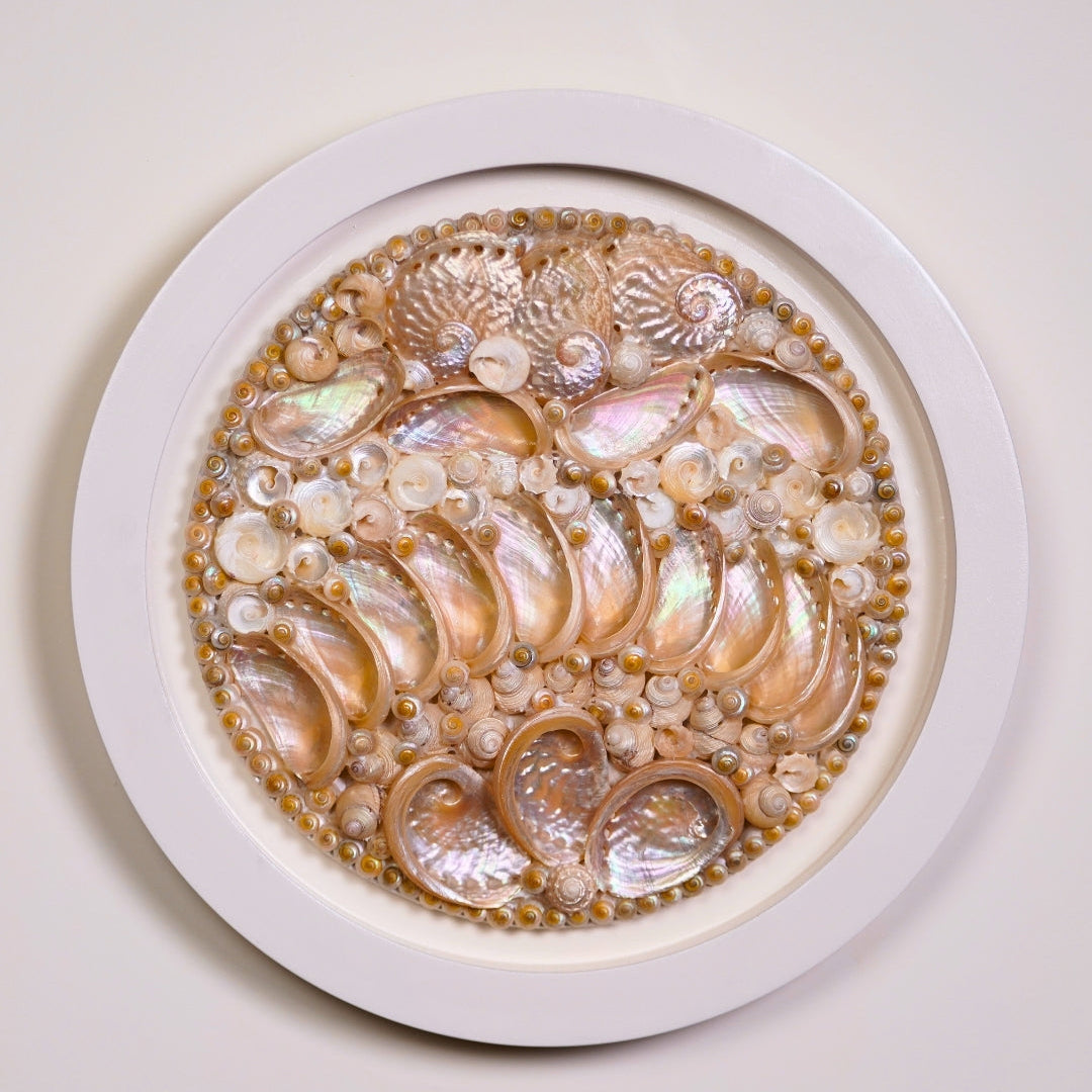 Sea shell wall art