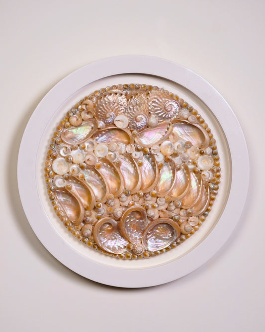 SHELL WALL ART SMALL - SUN-KISSED SHELLS