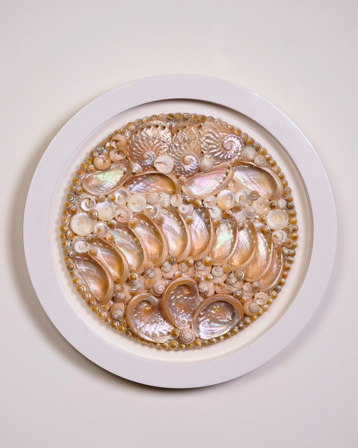 Sea shell wall art