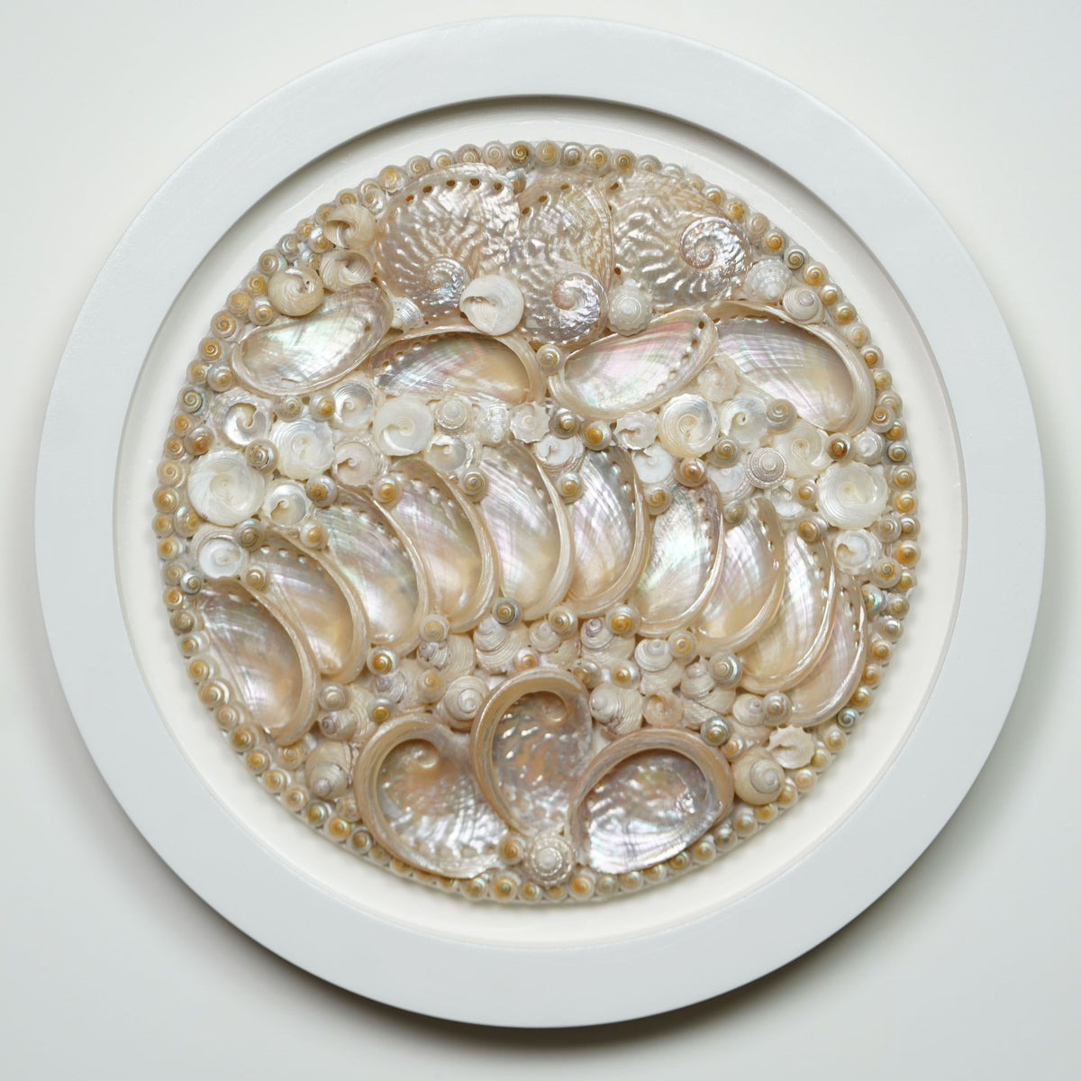Sun Kissed Shell Wall Art