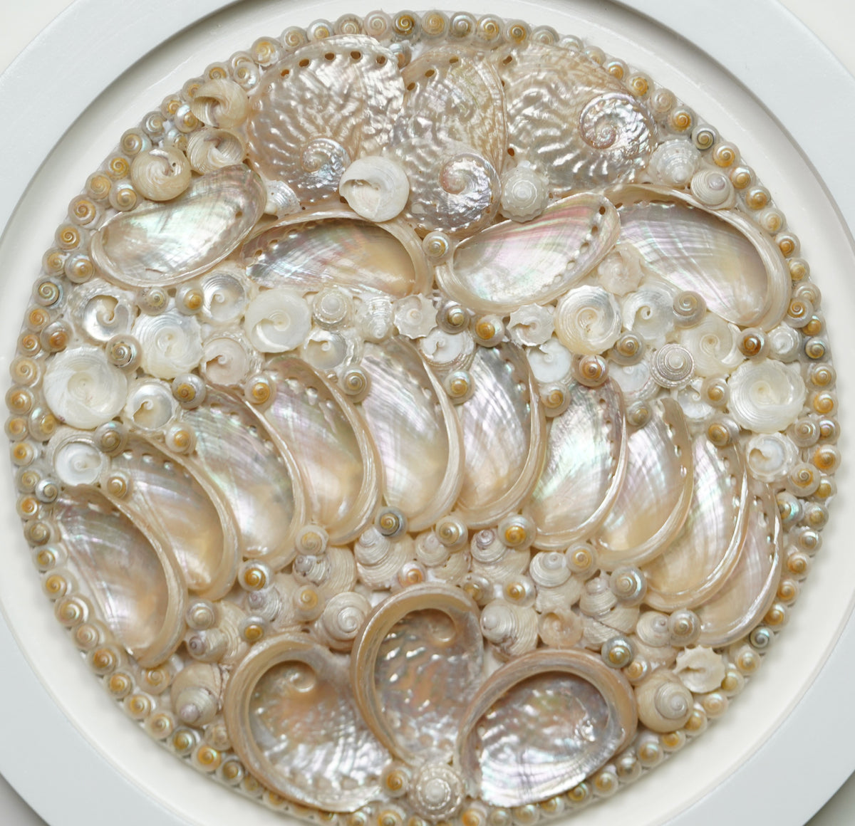 Sun Kissed Shell Wall Art