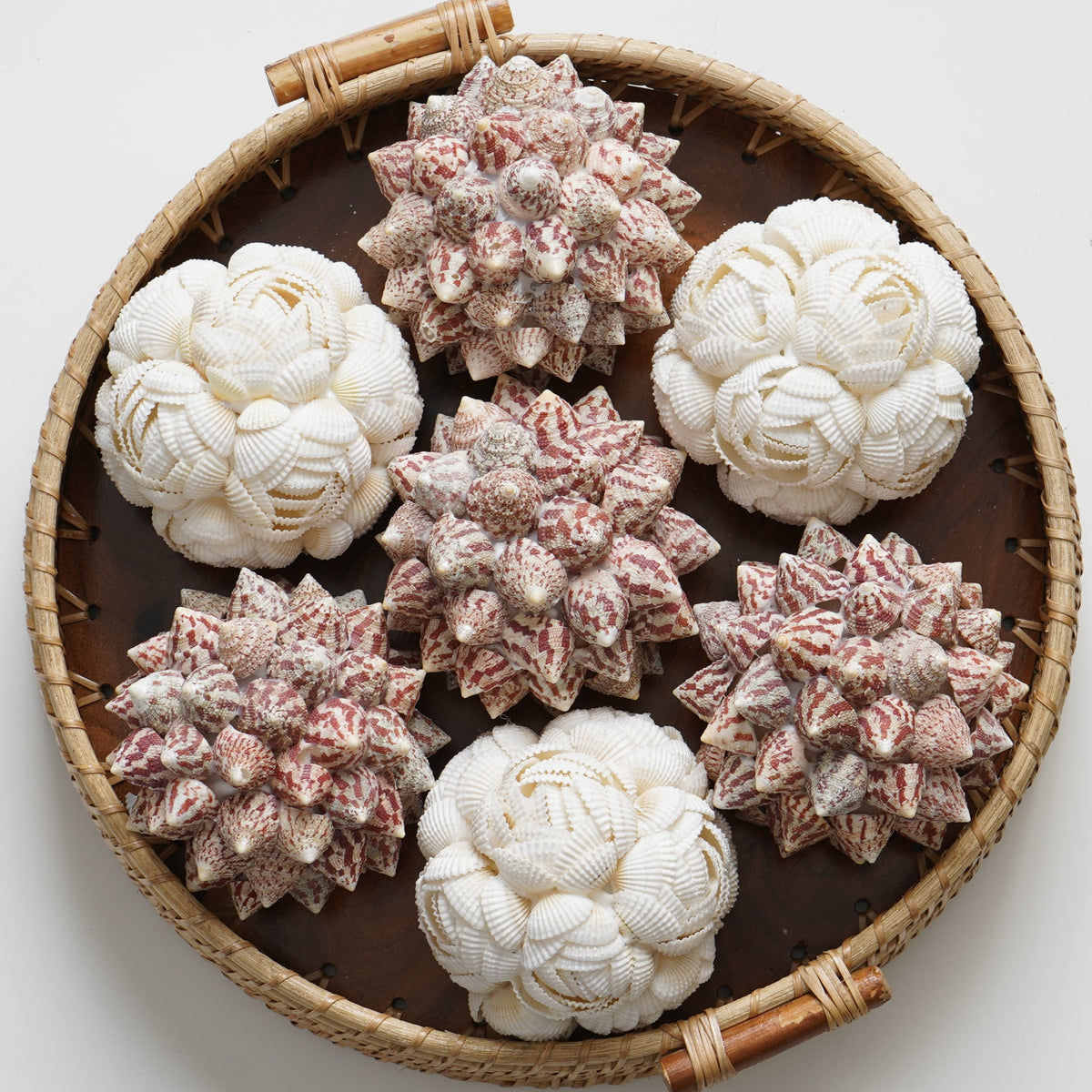 Shell Basket 