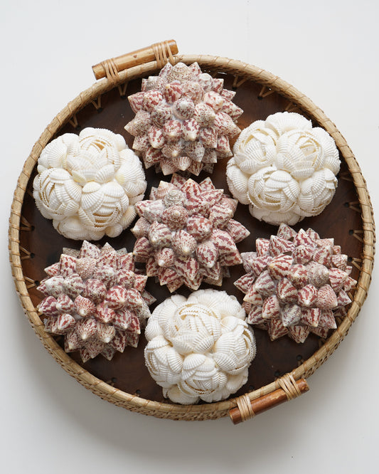 Shell Basket 